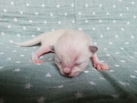 thumbnail_img_20200716_161842