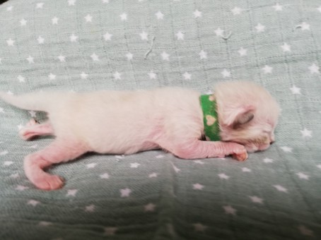 thumbnail_img_20200716_161925