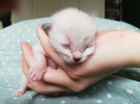 thumbnail_img_20200716_162155