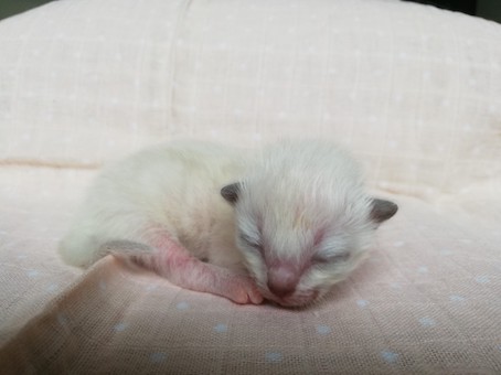 thumbnail_img_20200716_162246