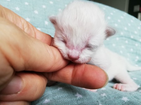 thumbnail_img_20200716_163351