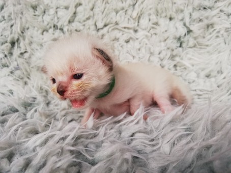 thumbnail_img_20200726_100728