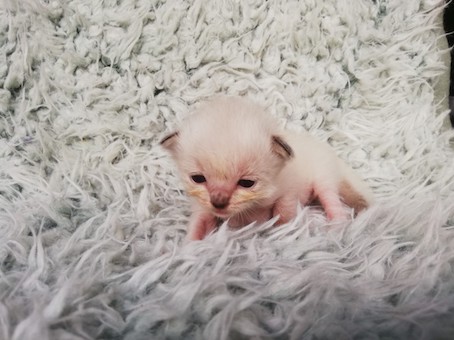 thumbnail_img_20200726_100737