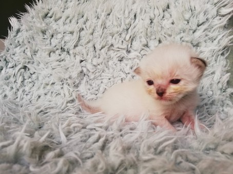 thumbnail_img_20200726_100913