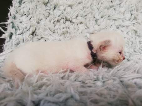 thumbnail_img_20200726_101018_1