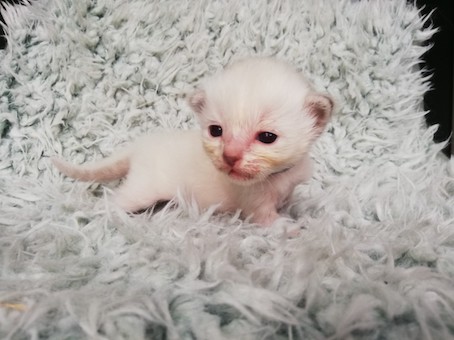 thumbnail_img_20200726_101127