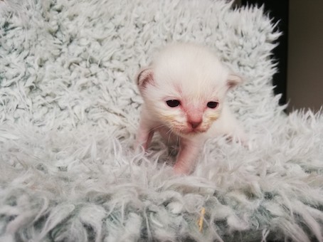 thumbnail_img_20200726_101147