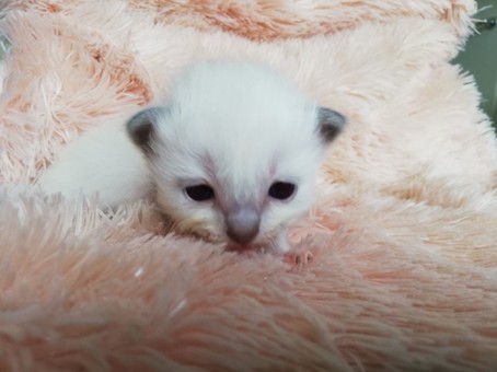 thumbnail_img_20200726_101427