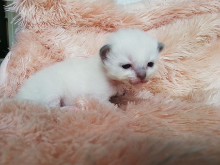 thumbnail_img_20200726_101436