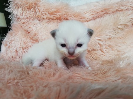 thumbnail_img_20200726_101448