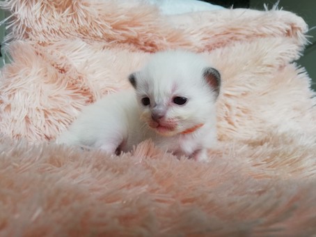 thumbnail_img_20200726_101516