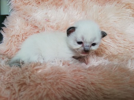 thumbnail_img_20200726_101610