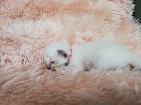 thumbnail_img_20200726_101744