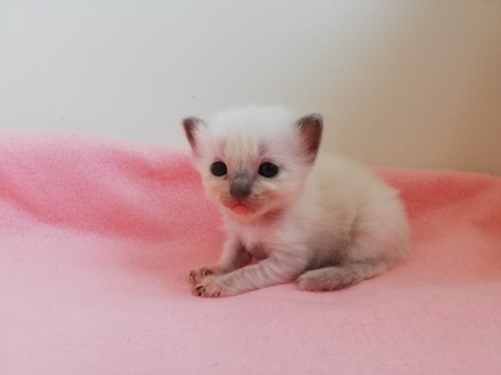 thumbnail_img_20200731_111113