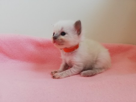 thumbnail_img_20200731_111115