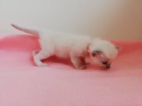 thumbnail_img_20200731_111211