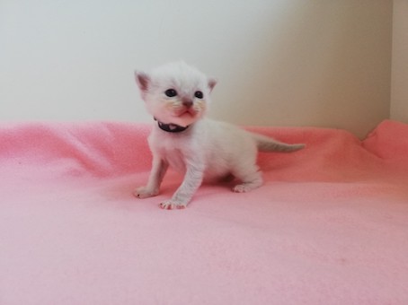 thumbnail_img_20200731_111731