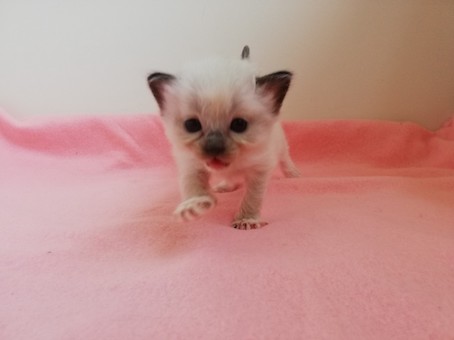 thumbnail_img_20200731_112412