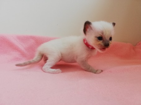 thumbnail_img_20200731_112802