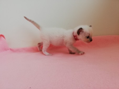 thumbnail_img_20200731_113416