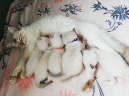 thumbnail_img_20200802_091947