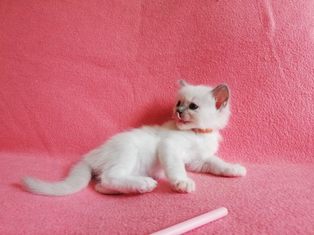 thumbnail_img_20200816_144333