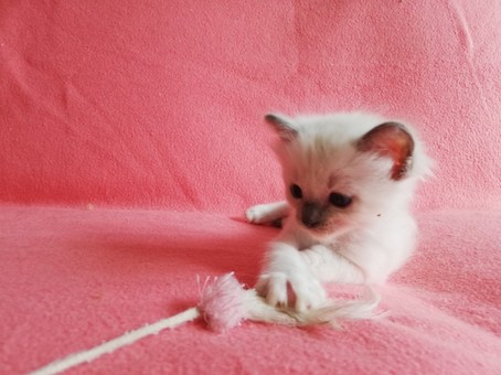 thumbnail_img_20200816_144455