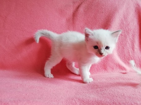 thumbnail_img_20200816_144834