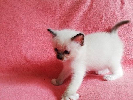 thumbnail_img_20200816_145632