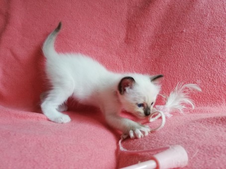 thumbnail_img_20200816_150133