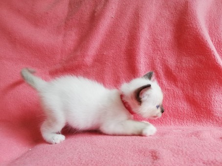 thumbnail_img_20200816_150422