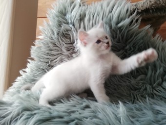 thumbnail_img_20200902_120003