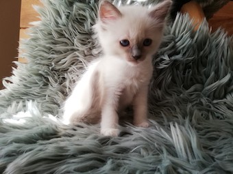 thumbnail_img_20200902_120426