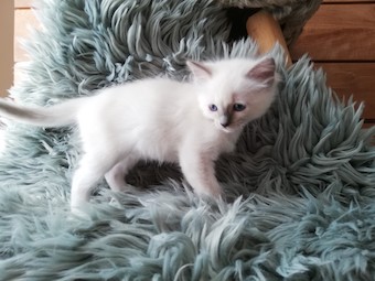 thumbnail_img_20200902_120754