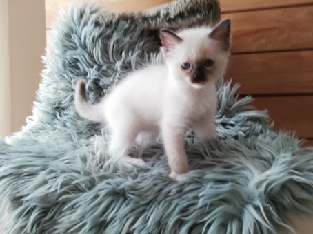 thumbnail_img_20200902_121412