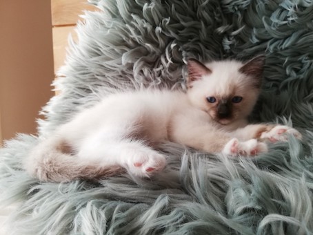 thumbnail_img_20200902_121624