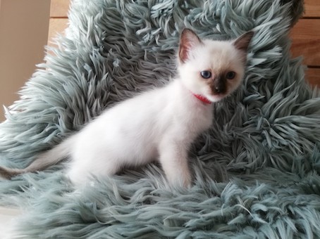 thumbnail_img_20200902_122317