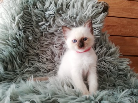 thumbnail_img_20200902_122412