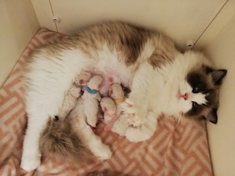 thumbnail_img_20210204_190703