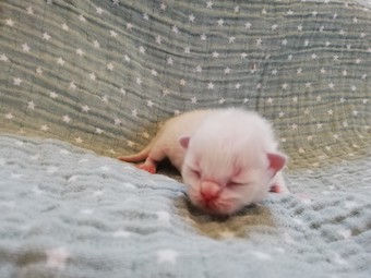 thumbnail_img_20210207_160727