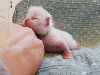 thumbnail_img_20210207_160832