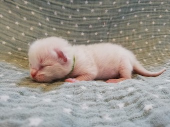 thumbnail_img_20210207_160938