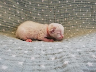 thumbnail_img_20210207_161007