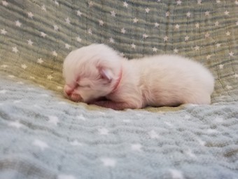 thumbnail_img_20210207_162330