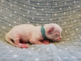 thumbnail_img_20210207_162504