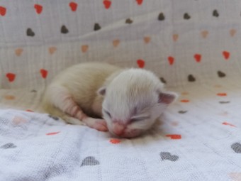 thumbnail_img_20210211_114846