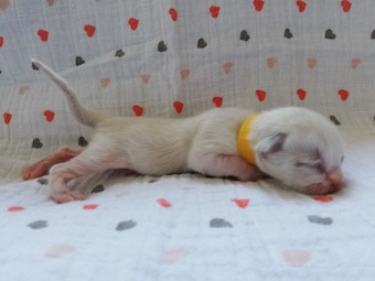 thumbnail_img_20210211_115031