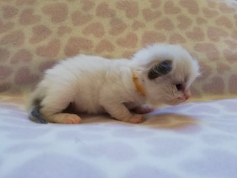 thumbnail_img_20210218_170104