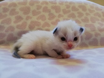 thumbnail_img_20210218_170109