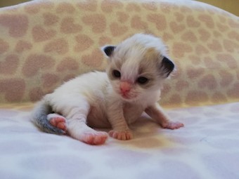 thumbnail_img_20210218_170438